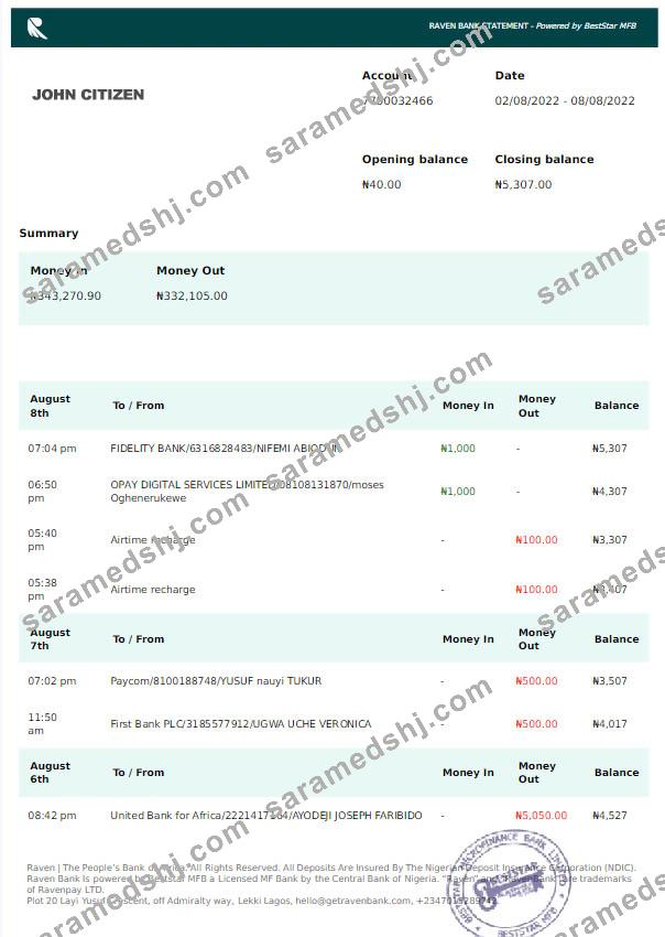 Nigeria Raven Bank statement Word and PDF template scr